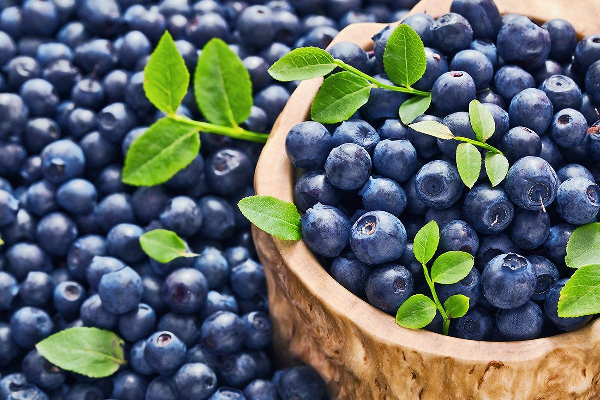 Российский рынок голубики: тенденции здорового питания способствуют росту