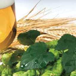 Бинес-план: развитие пивоваренного завода по увеличению мощности и запуску производства безалкогольных напитков