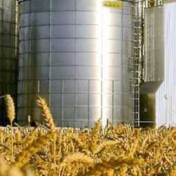 Бизнес-план: организация завода по переработке зерновых