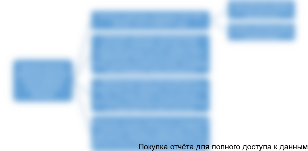 Схема 1. Каналы дистрибьюции на рынке женских джинсов премиум класса в Москве и Санкт-Петербурге