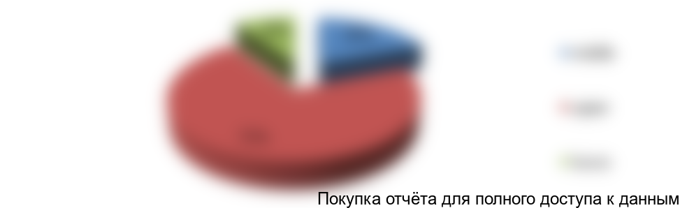 Рисунок 2. Структура продаж по сегментам в стоимостном выражении, 2016г.