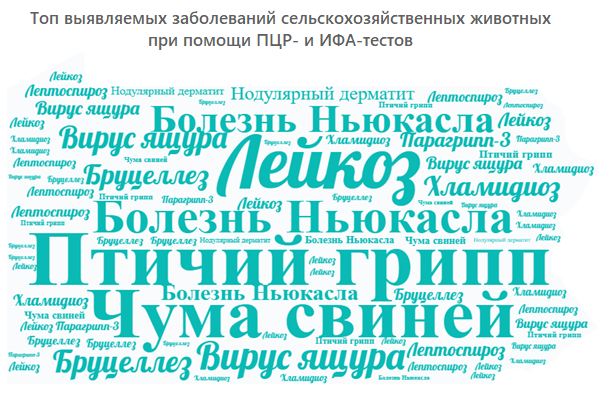 Топ выявляемых заболеваний сельскохозяйственных животных при помощи ПЦР- и ИФА-тестов